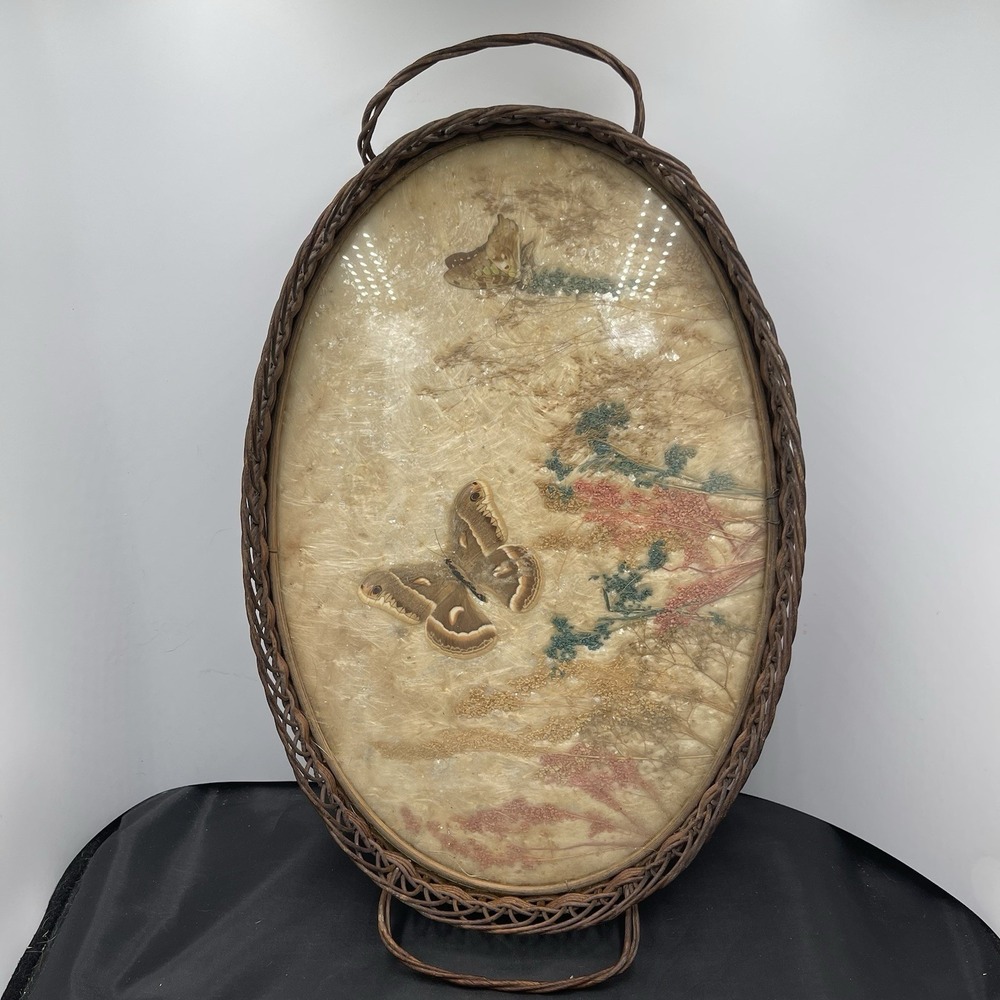 Antique Wicker Serving Tray With Dried Butterflies And‎ Flowers (p302)